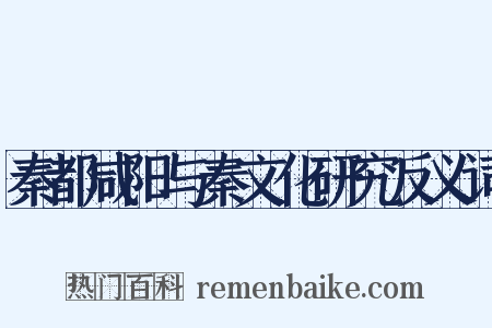 秦都咸阳与秦文化研究反义词是什么意思的图片